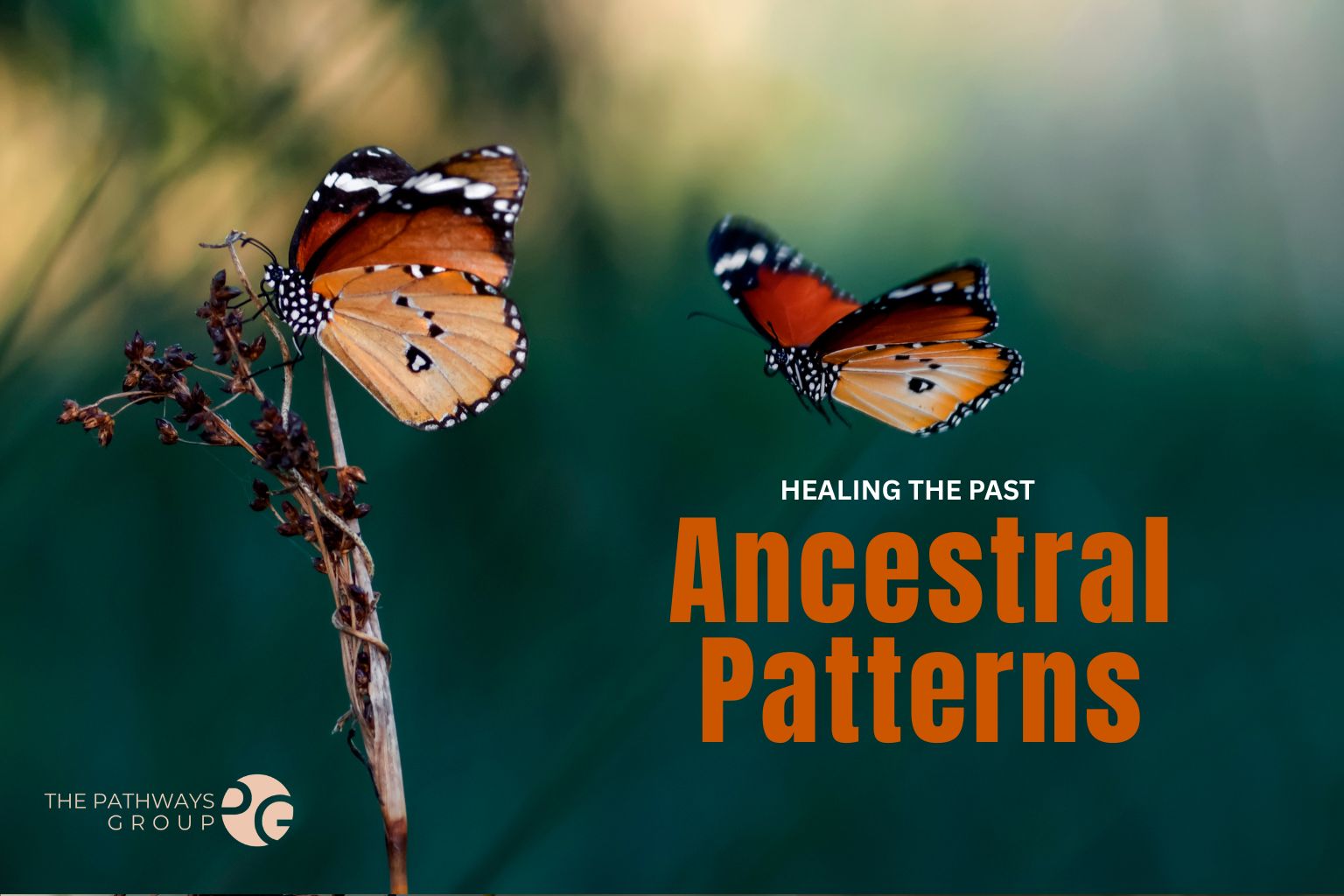ancestral healing butterflies