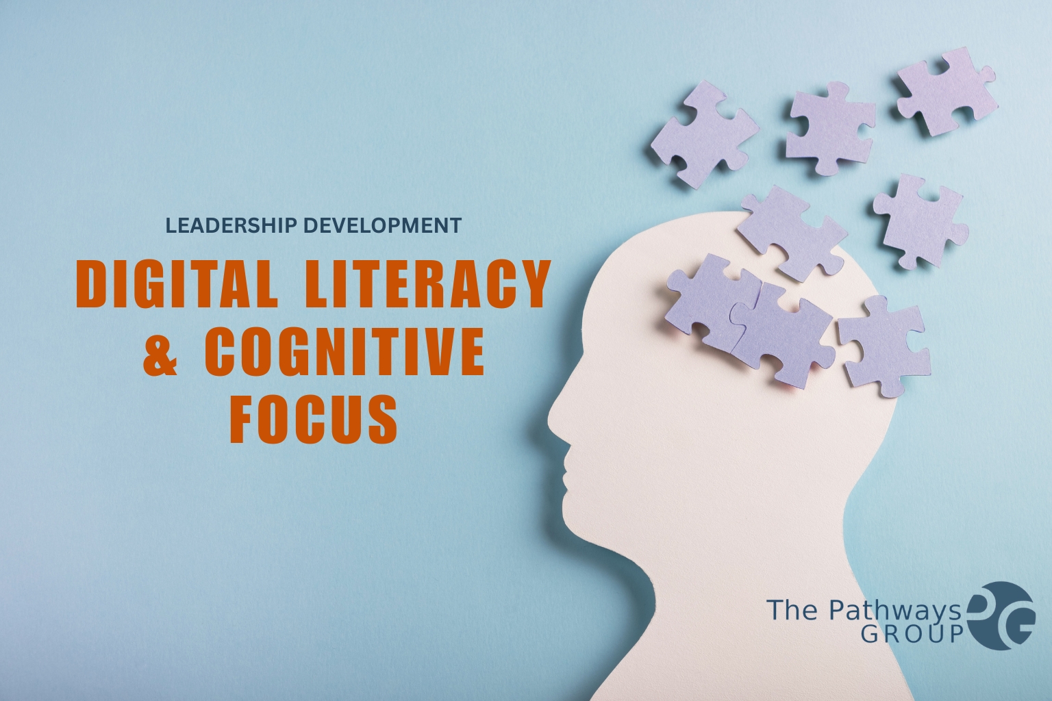 digital literacy product image