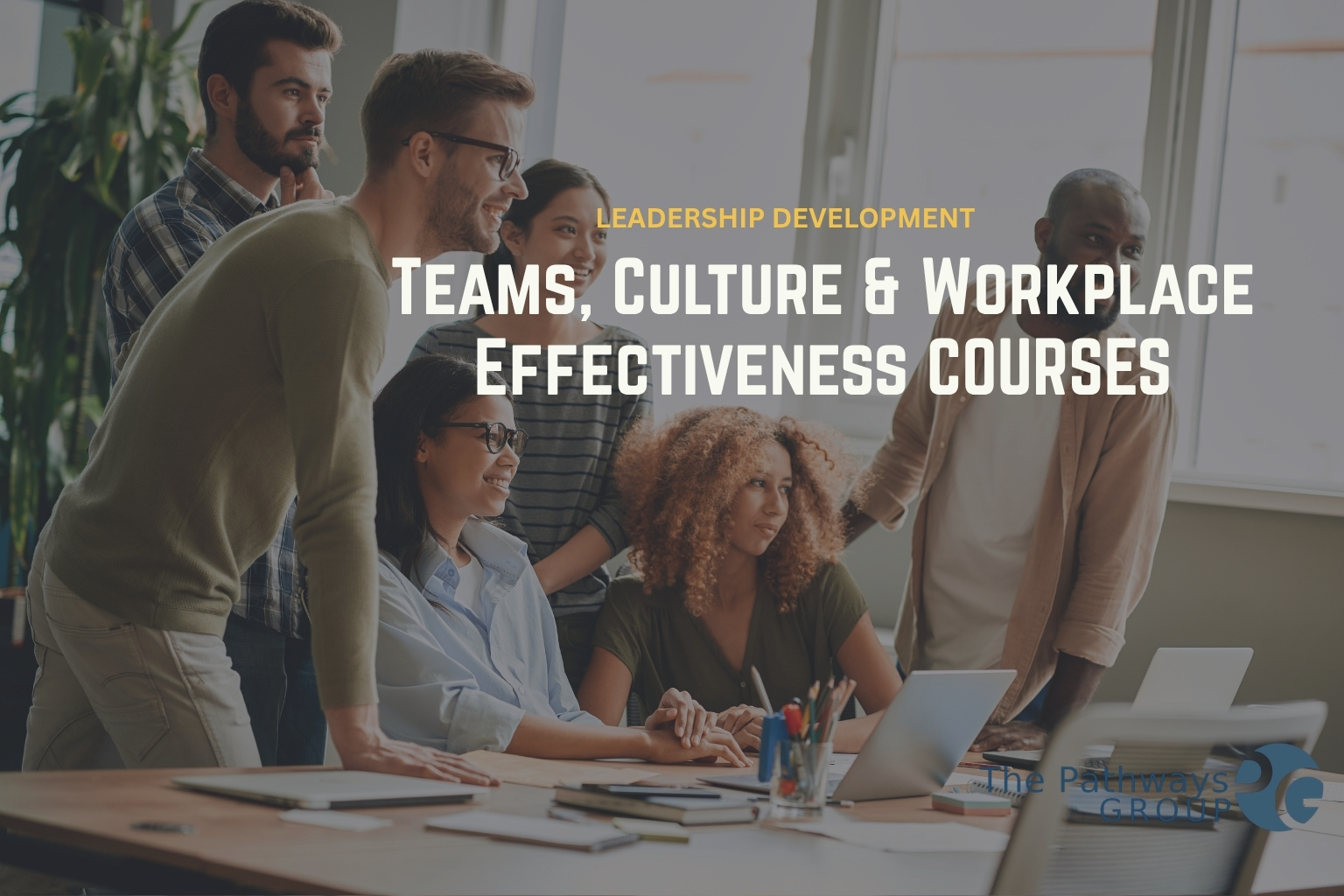 teamculture product image